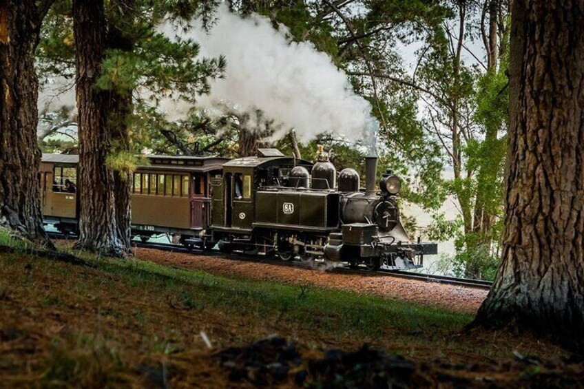 Half-Day Puffing Billy Steam Train Experience