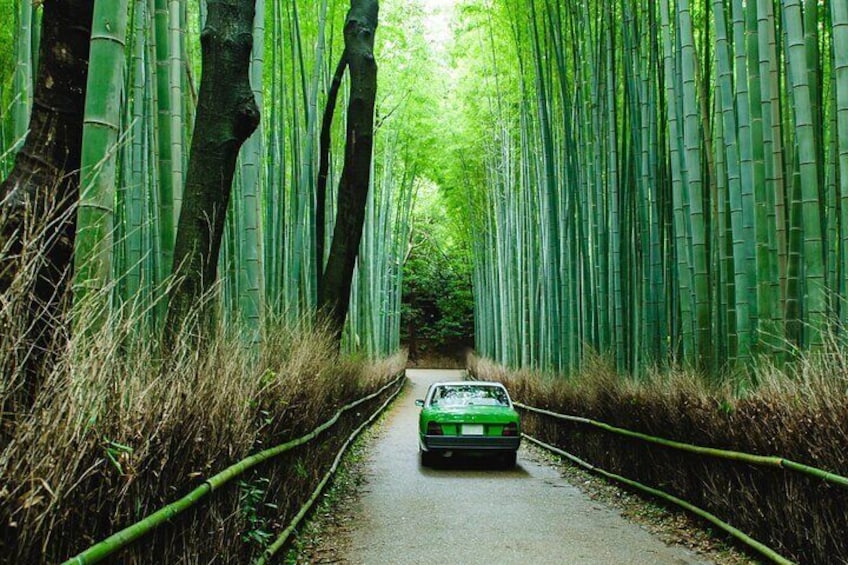 Kyoto All Must-Sees Private Chauffeur Full-day Tour - English Speaking Driver