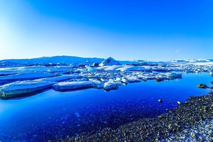 Heldags Jökulsárlón Glacier Lagoon Privat tur