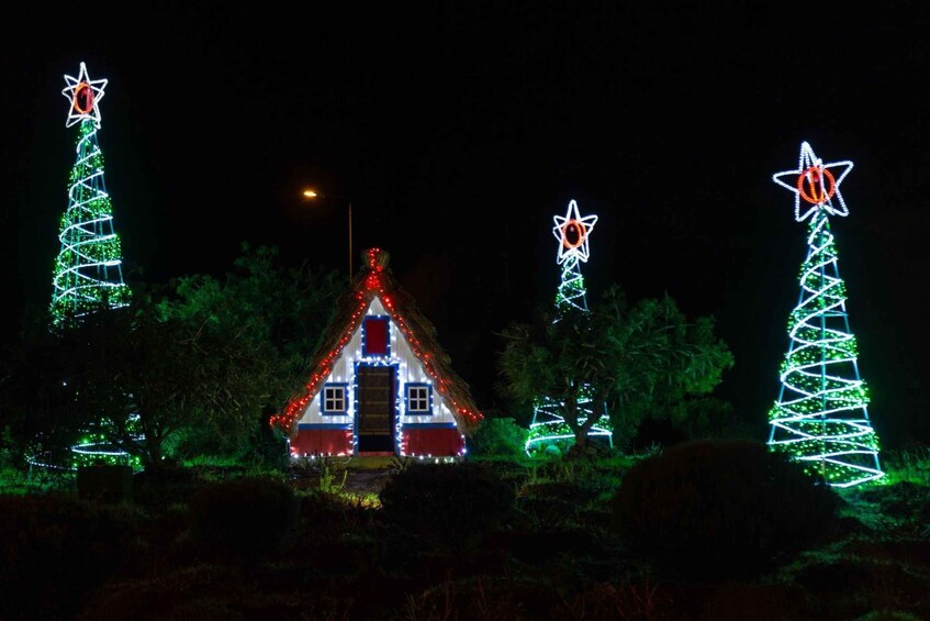 Picture 2 for Activity Funchal - Christmas Lights By TukTuk (1h)