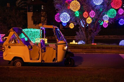 Funchal - Christmas Lights By TukTuk (1h)