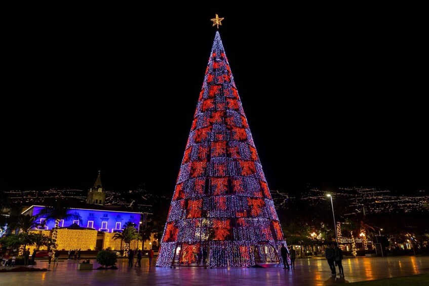 Picture 3 for Activity Funchal - Christmas Lights By TukTuk (1h)