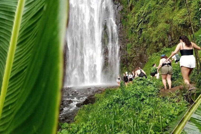 Waterfalls hike 