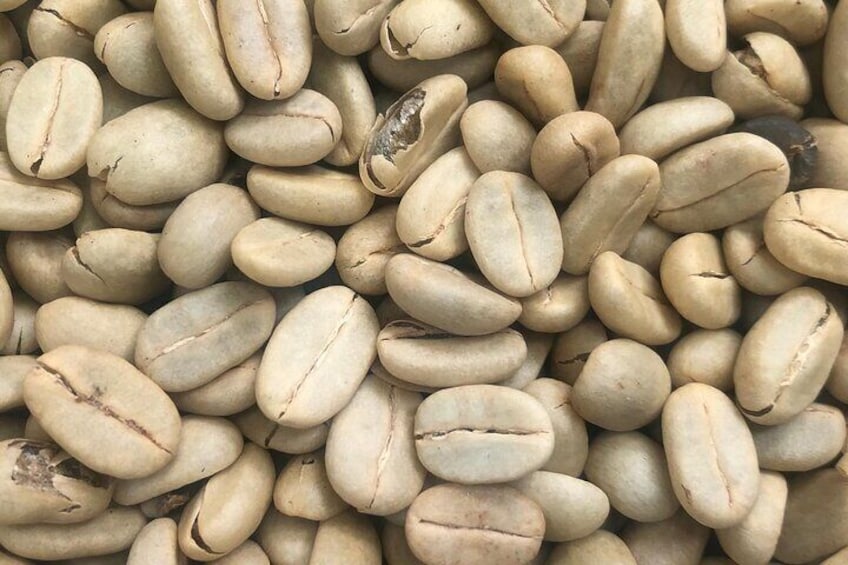 Dried coffee beans 