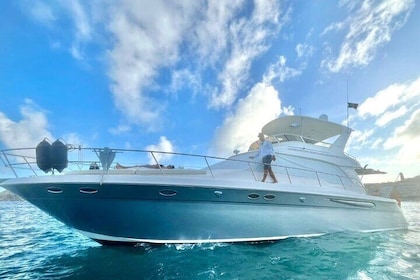 Cabo Arch Sunset Yacht Tour - Dinner & Drinks — Up to 18 Guests