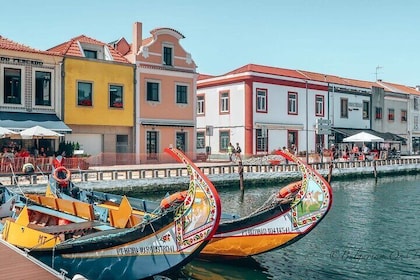 Private Drive Tour to Aveiro