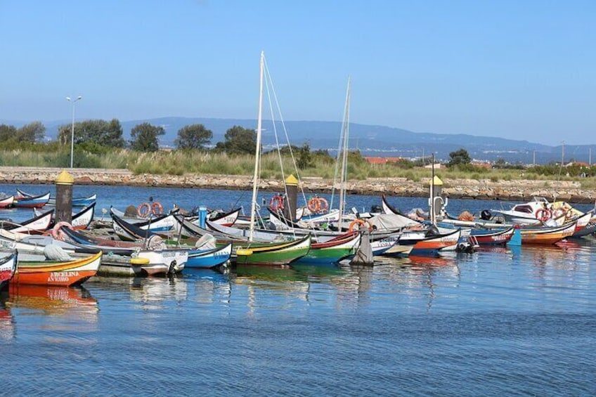 Private Drive Tour to Aveiro