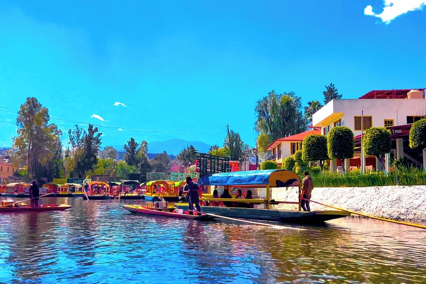 Xochimilco Party at a Trajinera with Drinks and Music