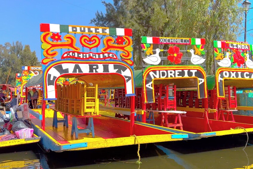 Xochimilco Party at a Trajinera with Drinks and Music