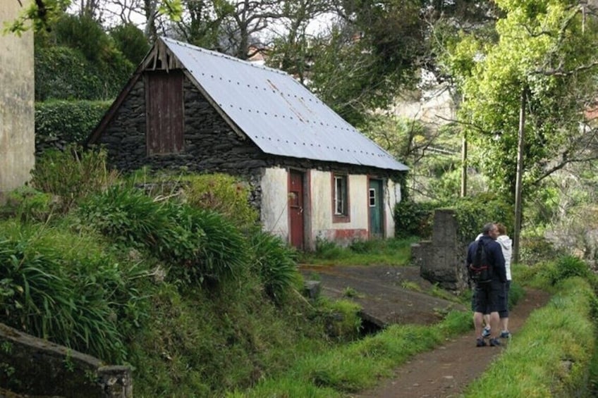  Guided Nature Hike (Half Day) - Levada Serra do Faial