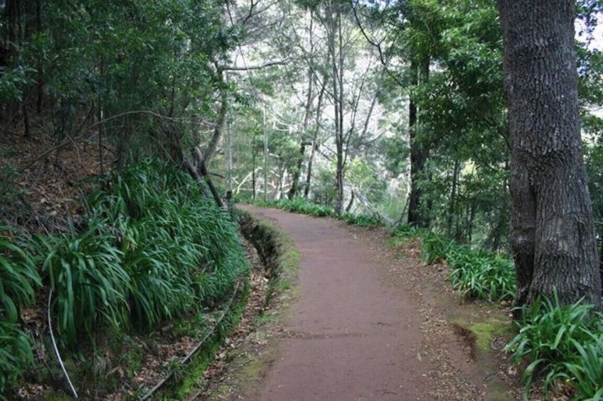  Guided Nature Hike (Half Day) - Levada Serra do Faial