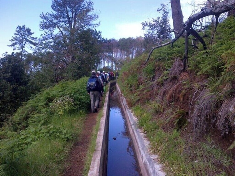 Guided Nature Hike (Full Day) - Prazeres