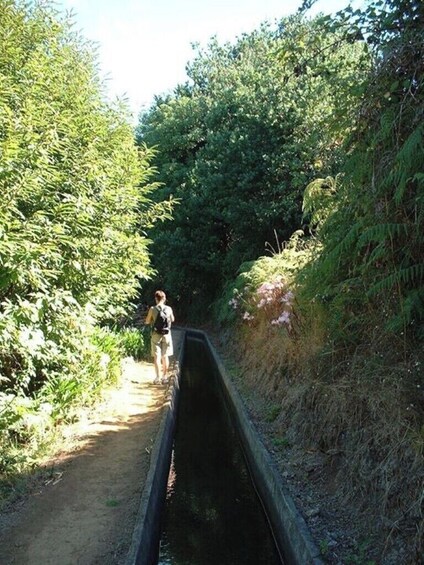 Guided Nature Hike (Full Day) - Prazeres