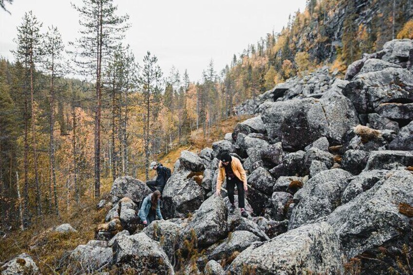 Hiking Tour to Kouroma Canyon from Rovaniemi