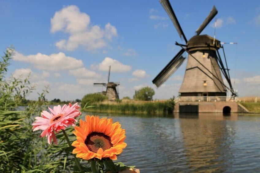 Kinderdijk, Delft, and The Hague Day Tour from Amsterdam