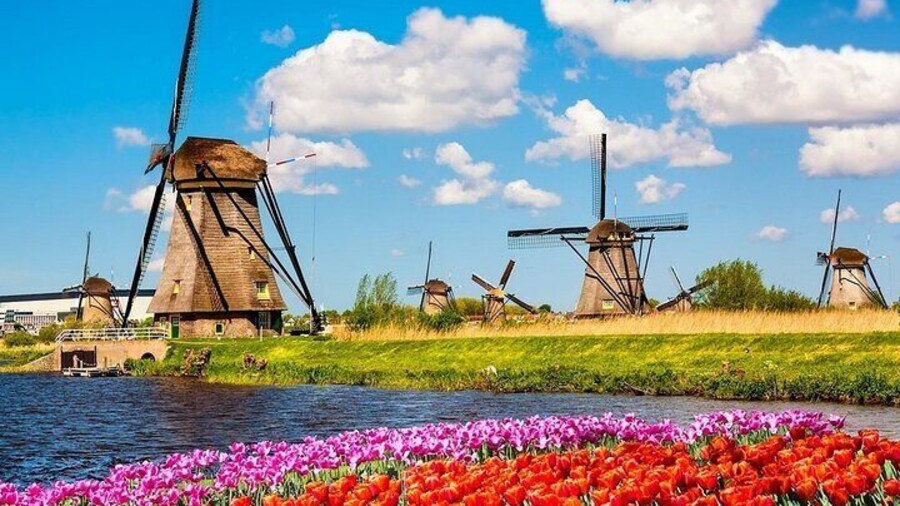 Kinderdijk, Delft, and The Hague Day Tour from Amsterdam