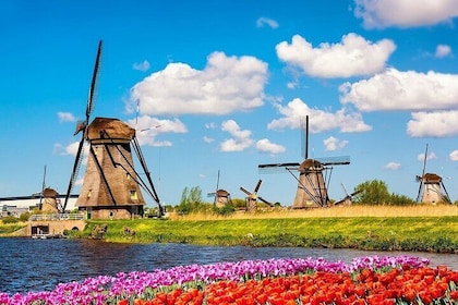 Explore Kinderdijk, Delft, and The Hague Day Tour from Amsterdam