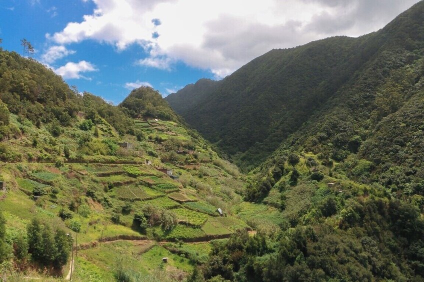 Guided Nature Hike (Full Day) - Boca do Risco