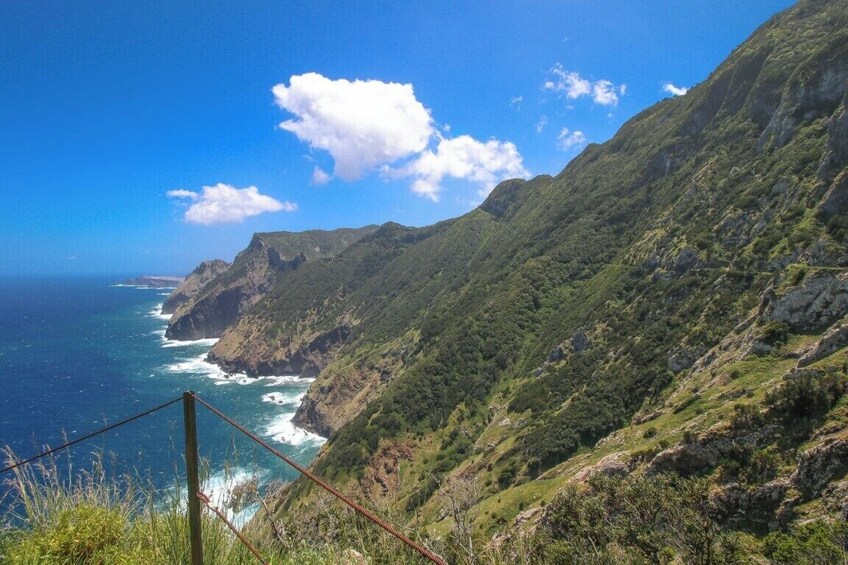 Guided Nature Hike (Full Day) - Boca do Risco