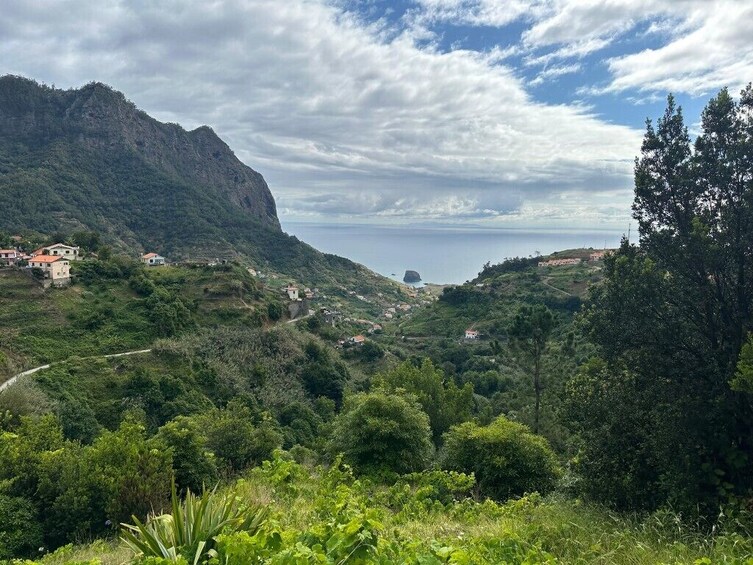 Guided Nature Hike (Half Day) - Levada e Mercado