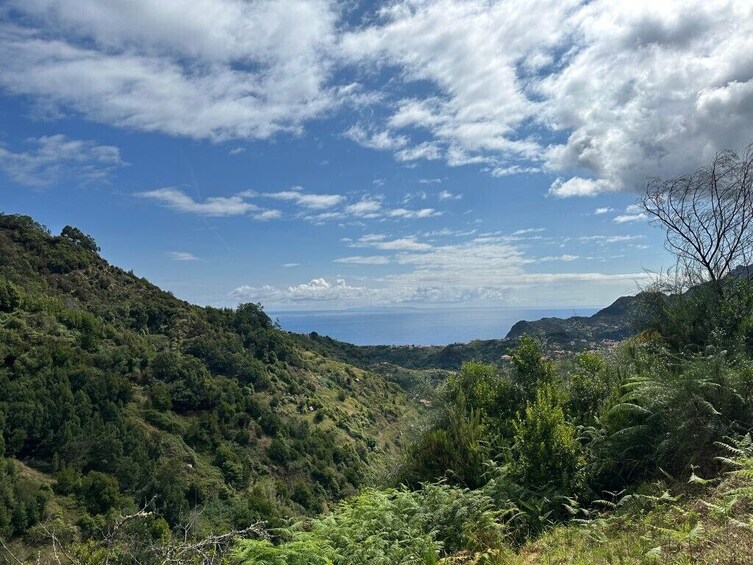 Guided Nature Hike (Half Day) - Levada e Mercado