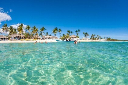 Full Day Catalina Island Tour, Snorkelling, Catamaran & Speedboat