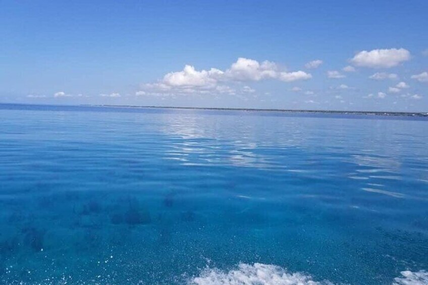 Catalina Island Tour from Punta Cana
