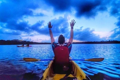 Bio Bay Night Kayak Tour in Fajardo