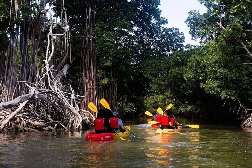 Bio Bay Night Kayak Tour in Fajardo