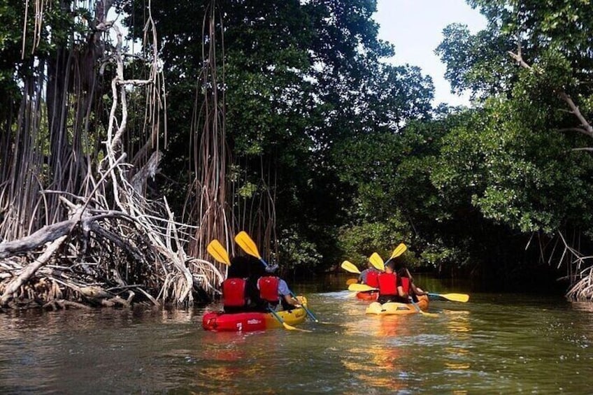 Bio Bay Night Kayak Tour in Fajardo