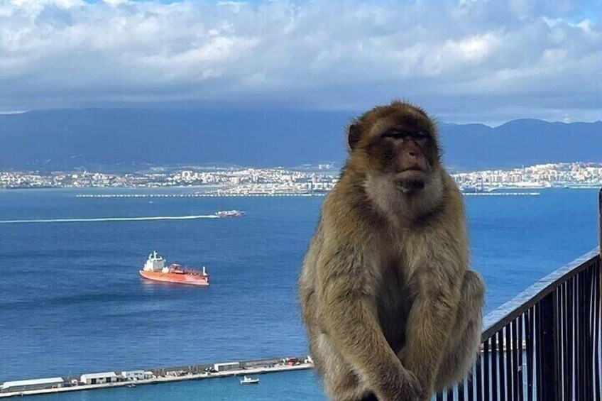 Gibraltar Private Tour From Marbella