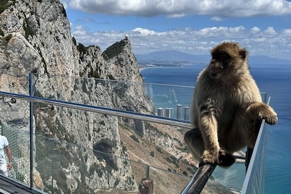 Gibraltar Private Tour From Marbella