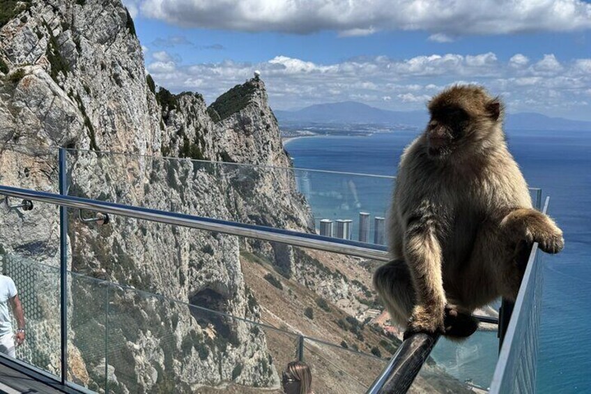 Gibraltar Private Tour From Marbella