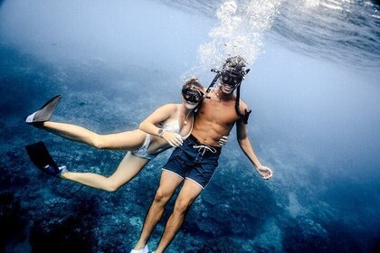 Waikiki Couples Snorkel Retreat