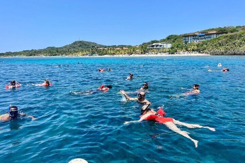 Snorkel with the whole family in Roatán and discover colorful fish and coral.