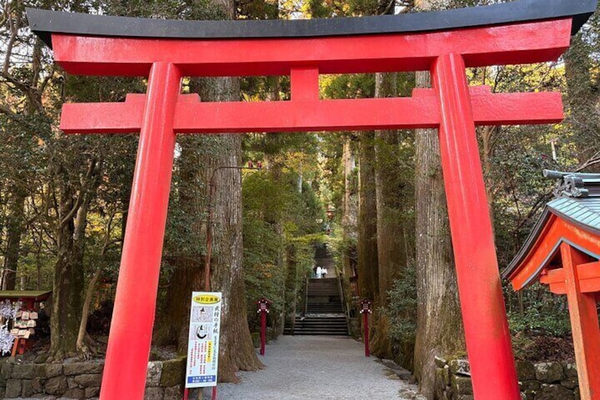 Authentic Hakone Onsen and Lake Cruise Tour from Tokyo