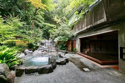 Hakone Onsen Experience with Shrine & Lake Ashi Tour from Tokyo