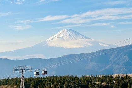 Hakone Private Tour from Tokyo with Lake Ashi Cruise & Onsen