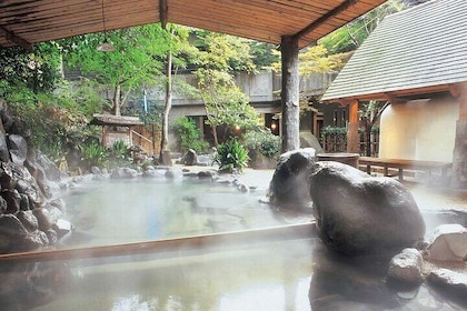 Luxury Hakone Hot Spring & Lake Ashi Cruise Tour from Tokyo