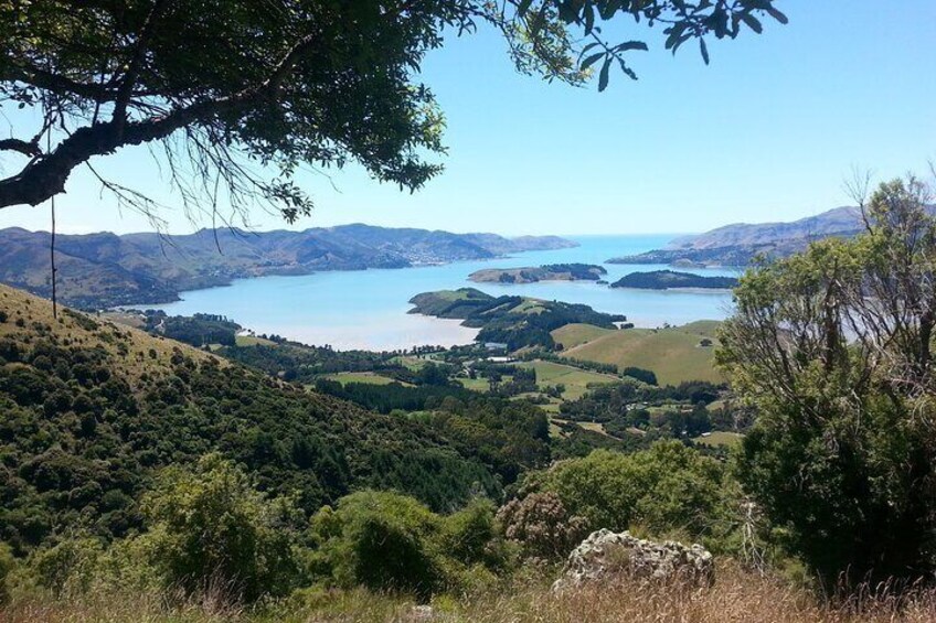 Private Shore Excursion Packhorse Hut Walking Tour