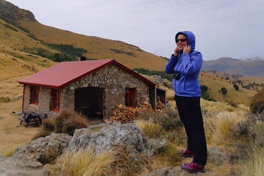 Private Shore Excursion Packhorse Hut Walking Tour