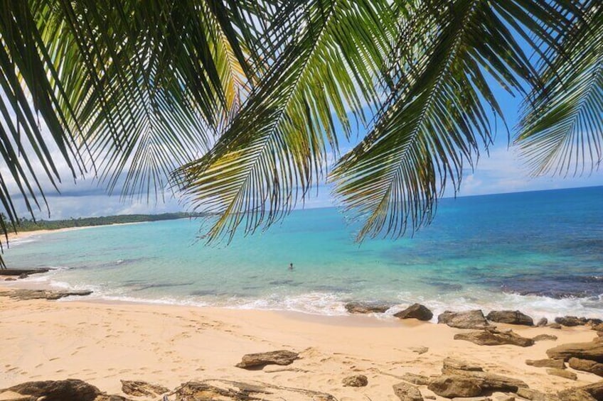 El Yunque & Beach Tour: Waterslide, Waterfall, Food, & Photos