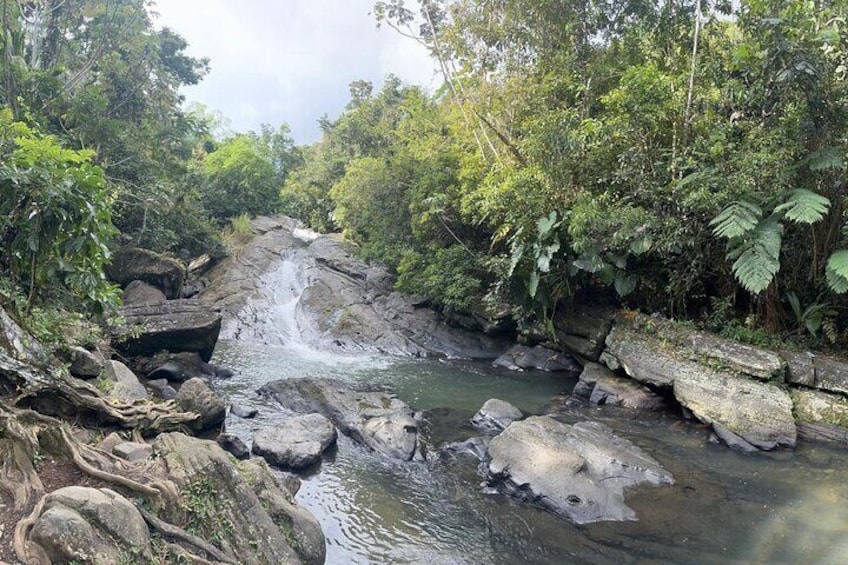 El Yunque & Beach Tour: Waterslide, Waterfall, Food, & Photos