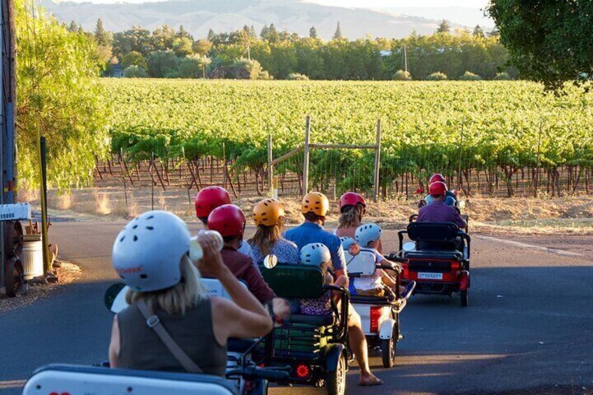 3 Hour Electric Trike Sunset Tour at Sonoma