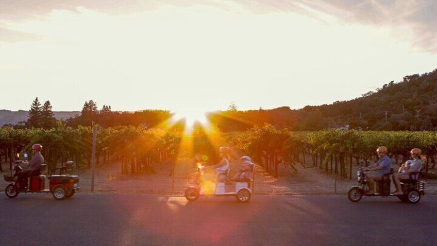 Unforgettable scenes as the sun sets over Sonoma's vineyards