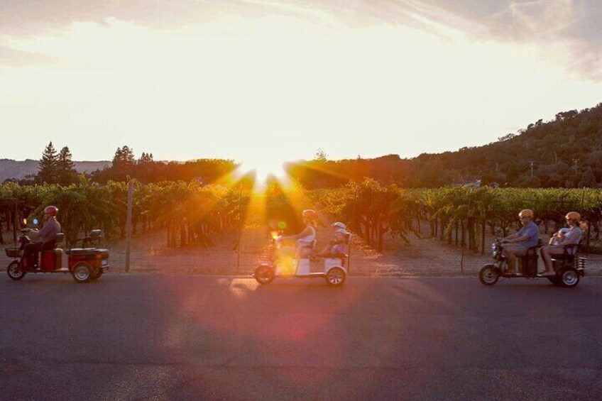 Unforgettable scenes as the sun sets over Sonoma's vineyards