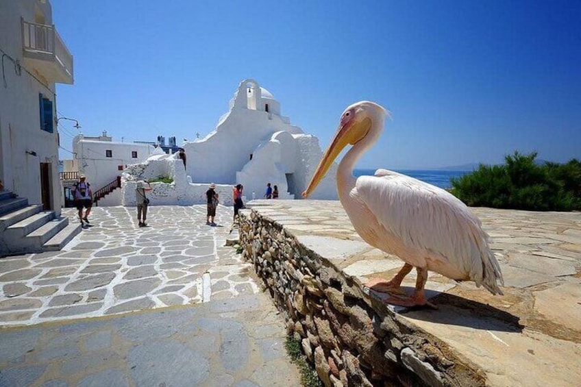 Private Half-Day Mykonos Insider Tour with Pick Up