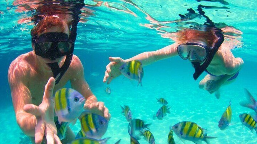 Boat Tour of 5 Must See Points in the Rosario Islands with Lunch