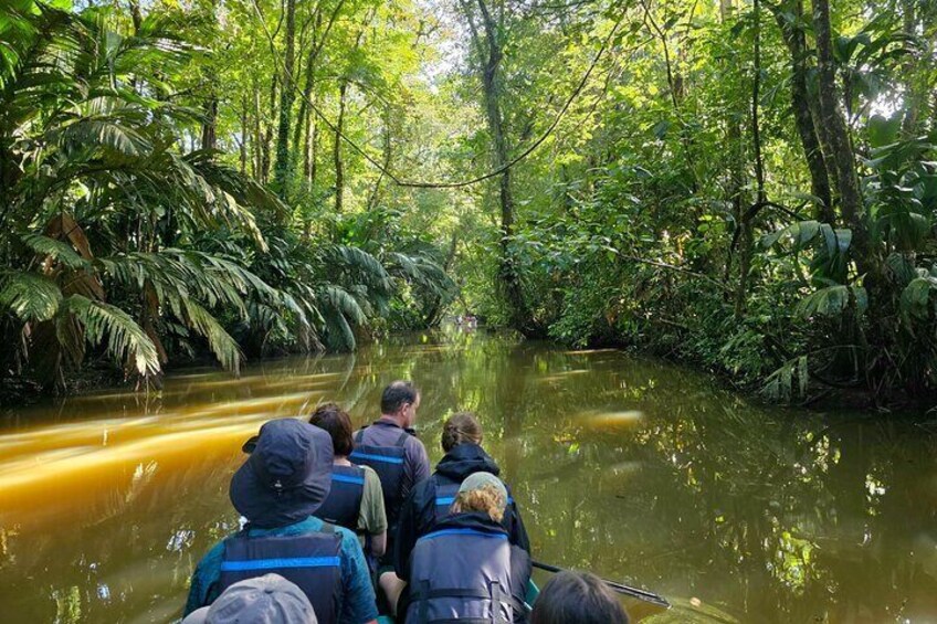 Tortuguero Highlights: Full-Day Adventure Tour