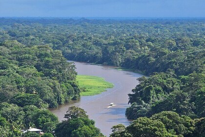 Tortuguero Highlights: Full-Day Adventure Tour